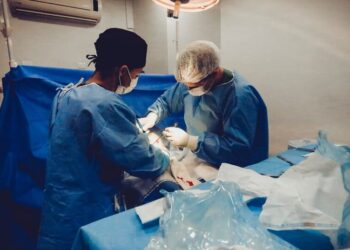 1er trasplante de corazón de cerdo a un humano exitoso hasta el momento
