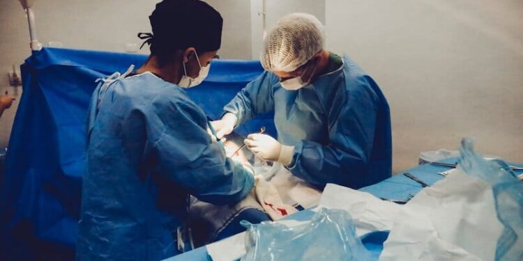 1er trasplante de corazón de cerdo a un humano exitoso hasta el momento