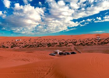 Hace 15 millones de años existió un a selva tropical en los desiertos de Australia