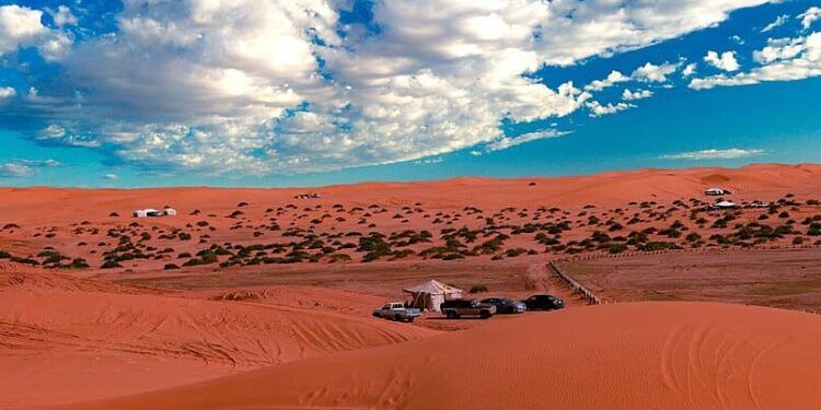 Hace 15 millones de años existió un a selva tropical en los desiertos de Australia