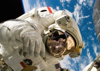 3 Organismos extraterrestres en plantas de la Estación Espacial Internacional