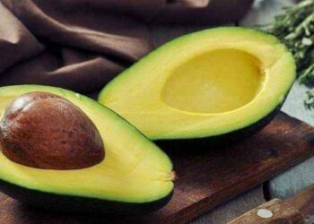 palta peruana