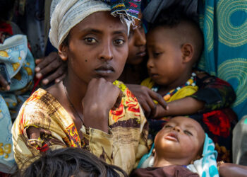 tigray