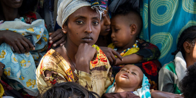 tigray