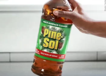 Clorox Pine sol de riesgo