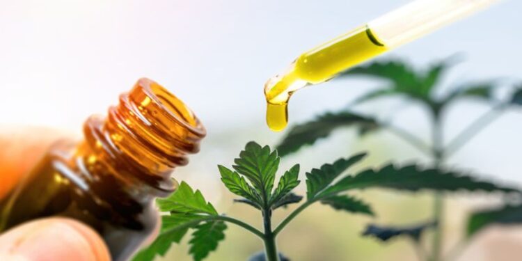 CBD para deportistas