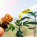 CBD para deportistas