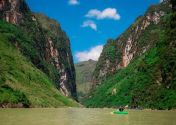 Razones Detrás del Fallecimiento de Miguel Hidalgo: ¿Por Qué Murió el Padre de la Independencia de México?