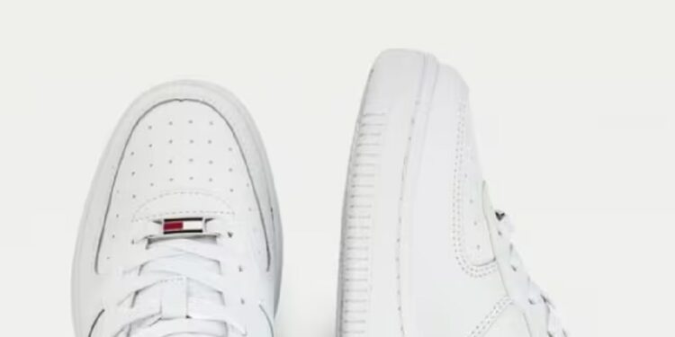 sneakers clasicos