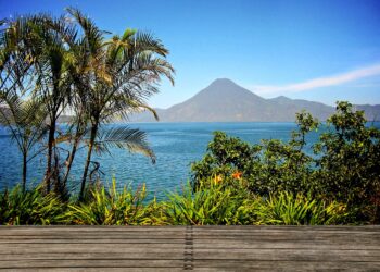 La Trágica Verdad: ¿Por Qué Murió el Quetzal de Guatemala? – Causas y Consecuencias