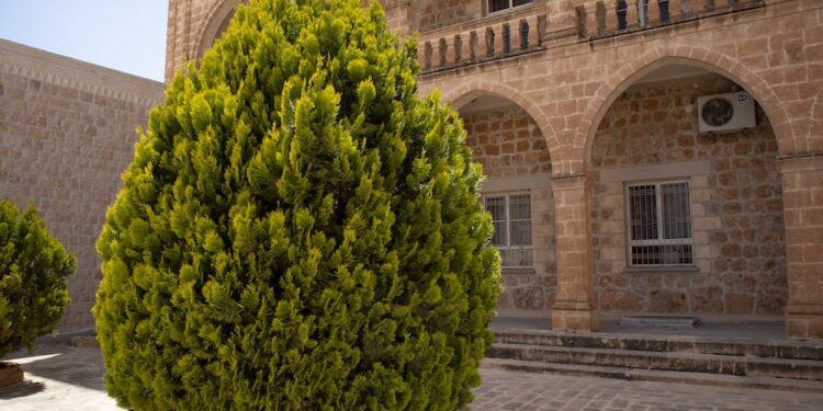 La Verdad Detrás del Misterio: ¿Por Qué Murió Gabriel García Márquez?
