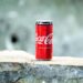 Guía Completa: Descubre los 10 Animales con Cola Larga más Fascinantes del Mundo