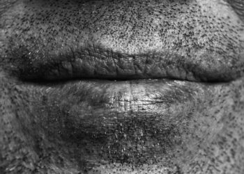 Descubre los Misterios: ¿Qué Animales Producen los Sonidos más Fascinantes?