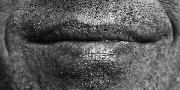 Descubre los Misterios: ¿Qué Animales Producen los Sonidos más Fascinantes?