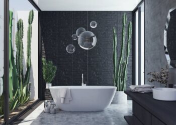 Razones Principales Por las Que se Muere un Cactus: Guía Completa para Salvar tu Planta