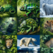 Descubre los Increíbles Secretos del Camuflaje en Animales: Guía Definitiva