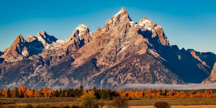 Descubre los animales con hocico grande: ¡Conoce a los gigantes de la naturaleza!