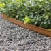 diseñar jardin con bordillos