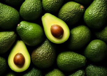 ¿Cuál es el mayor exportador de aguacate del mundo?